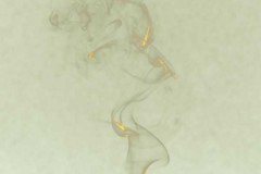 ©Joop Peerboom-  Golden smoke