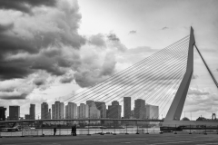 3rd Joop Peerboom 'Rotterdam Erasmus bridge'