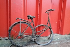©Susanne Engelhardt- Recycle bicycle please!