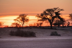 ©Lex Scheers- Sunrise in the desert