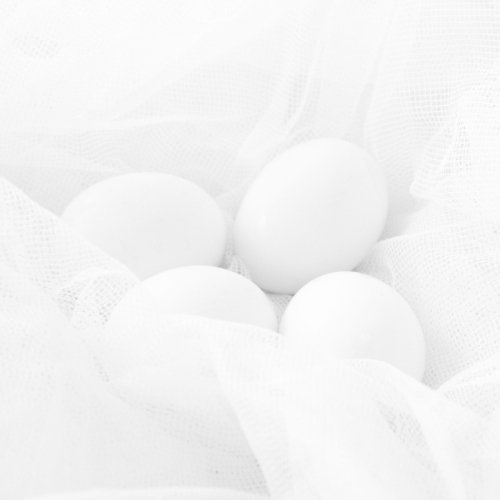 ©Naz Aybey "Eggs-2"