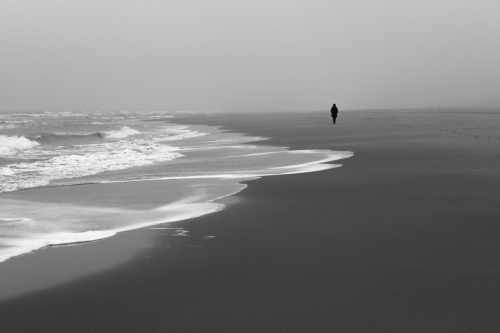POTY 2024_04 (1) ©Theo Mahieu "Walking along the sea"