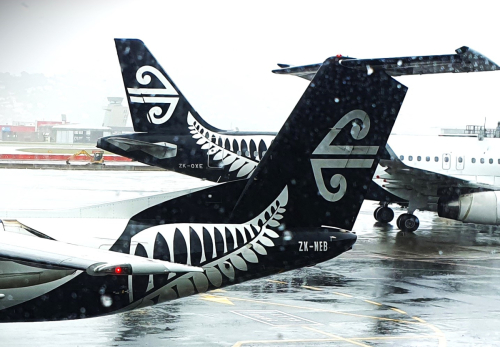 POTY 2024_01 (5) Susanne "Maori branding Air New Zealand"