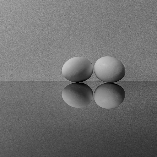 ©Lucy Lebedinskaya "More than one egg"